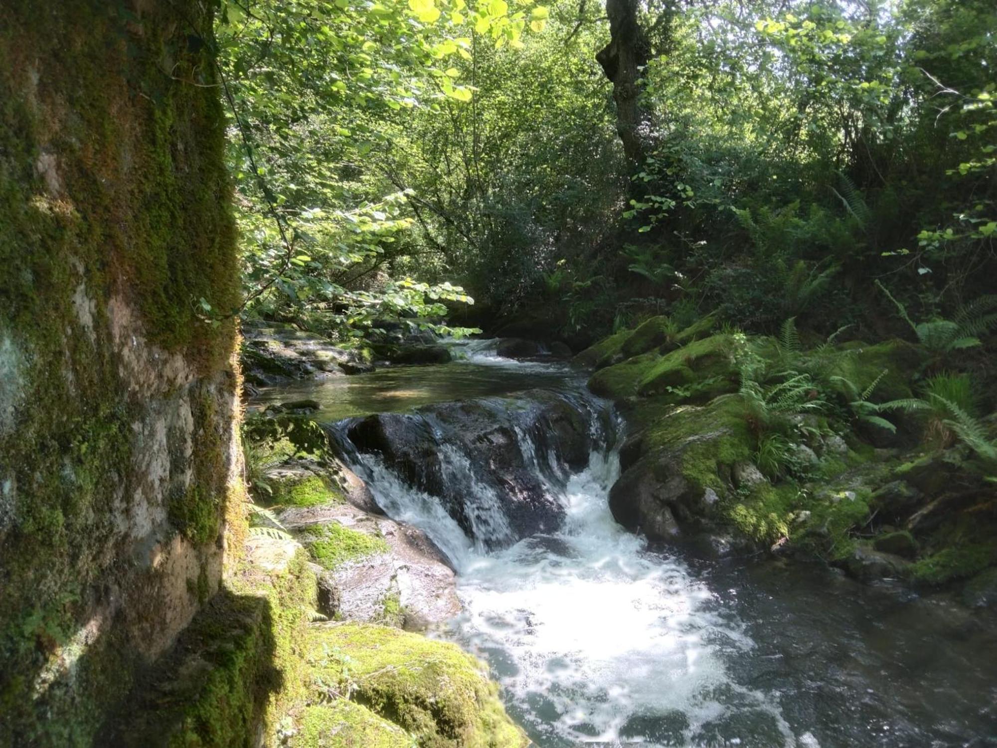 Casa Rural Los Riveros De Jeromo Selaya Buitenkant foto