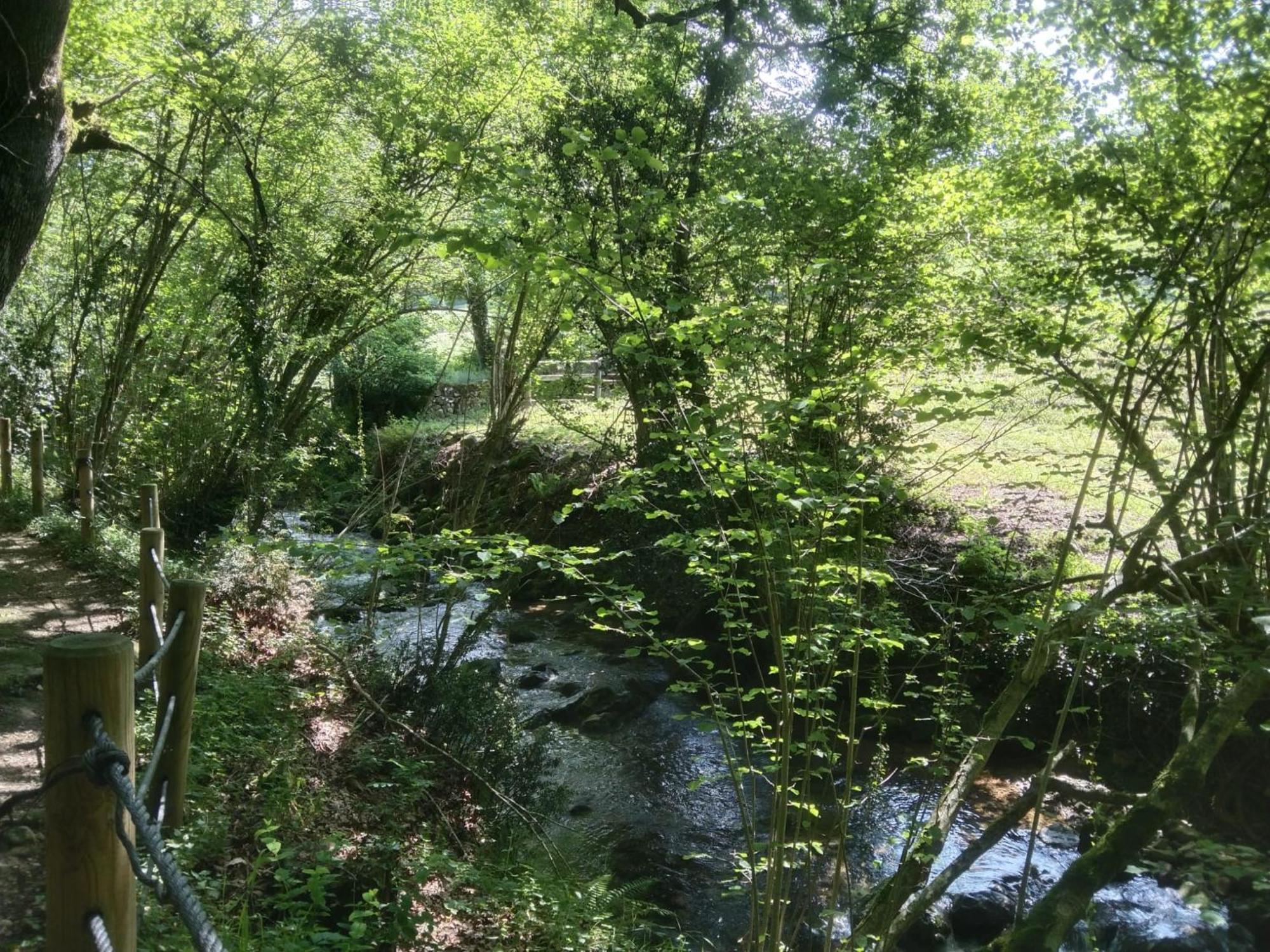 Casa Rural Los Riveros De Jeromo Selaya Buitenkant foto